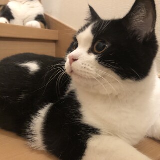 一旦募集を締切らせて頂きます。