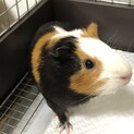 ★甘えん坊で食いしん坊の女の子です★