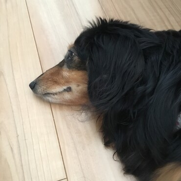 の写真