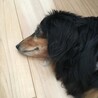 の写真
