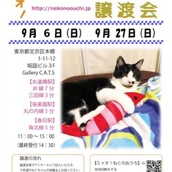 第81回◇ミャオ!ねこのおうち◇譲渡会