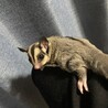 募集中止中です サムネイル2