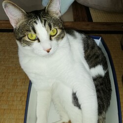 「ふく誕生日」サムネイル3