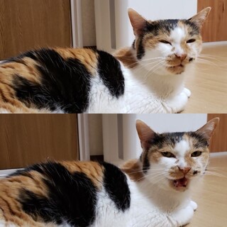 とみちゃんは永遠の13才♪