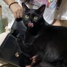 わたべだぺ