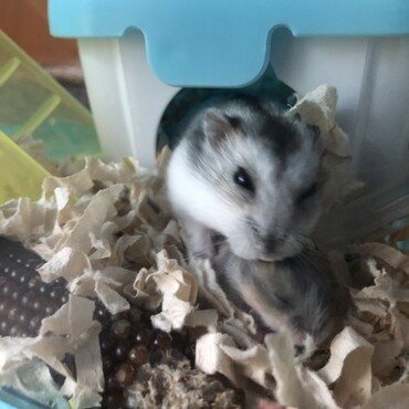 親子ショット♡