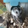 親子ショット♡