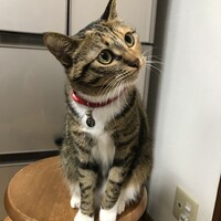 甜甜