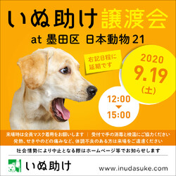 いぬ助け譲渡会 at 墨田区日本動物21