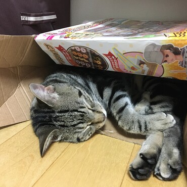 お気に入りの場所♡