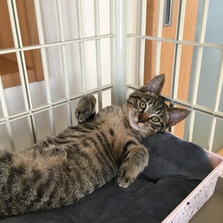 人馴ればっちりのちびたん♫