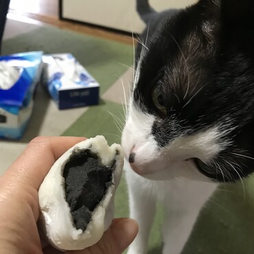 の写真