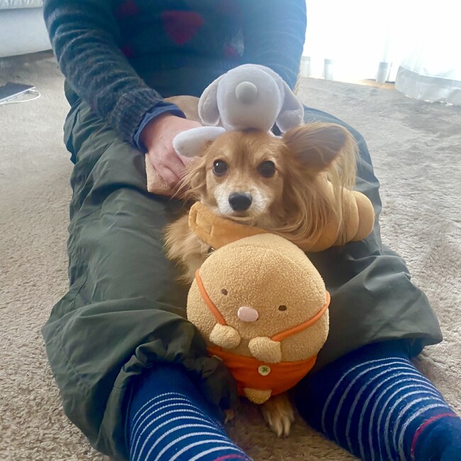 ハルナコのカバー写真