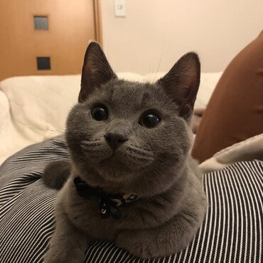 なにくれるんですか