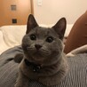なにくれるんですか