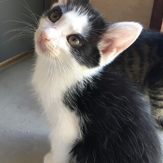 素敵な里親さんが見つかりました！