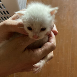 ありがとうございました！