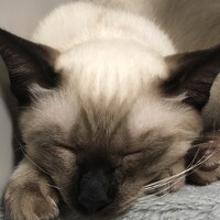 なわて