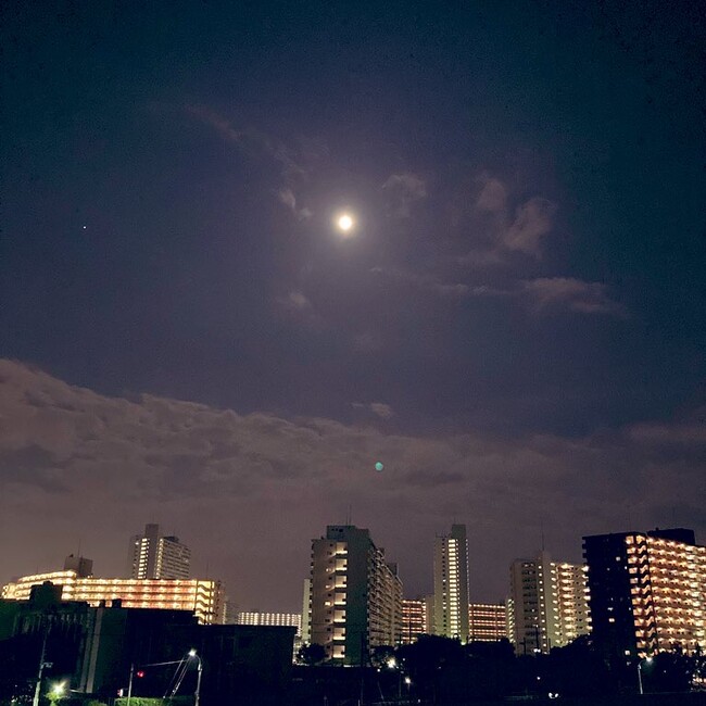 swkkのカバー写真