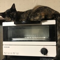 がんも