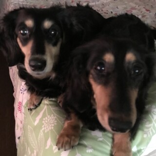 宜しくお願い致します。