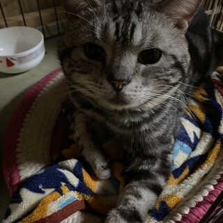 ありがとうございます。お待ちしています