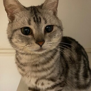 幸せにして下さる家族募集中