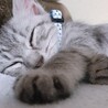 れおまるくん