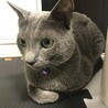 そらんちゅ