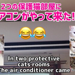 2つの保護猫部屋にエアコンをプレゼント