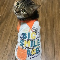 みんと