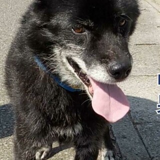 お迎えがきませんでした