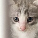１ヶ月半の男の子