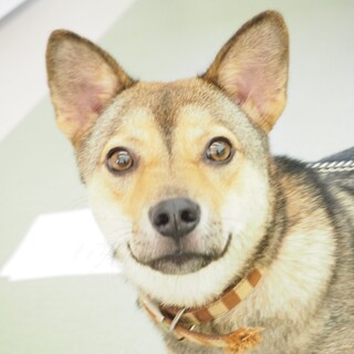 ◆ここから出して◆ちょー君