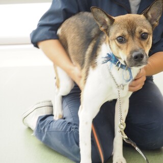 ◆ここから出して◆ゆりゆり君