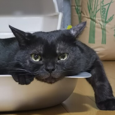 の写真