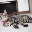 人が大好きな【あめり】