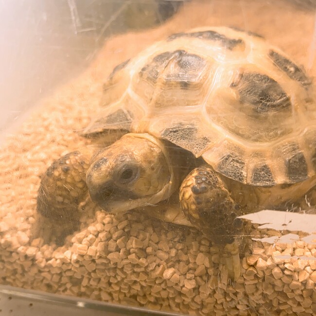 kazu@@のカバー写真