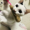 サビトとマコモ❤︎兄妹