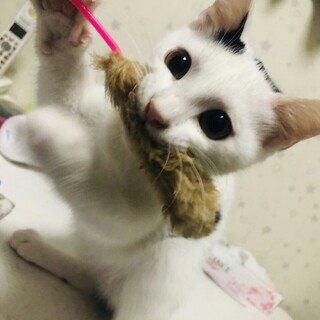 サビトとマコモ❤︎兄妹