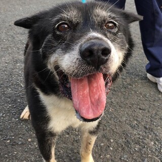 譲渡されました！！