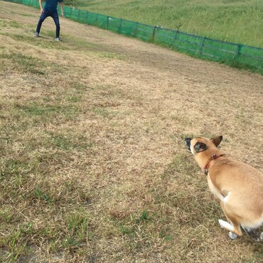 の写真