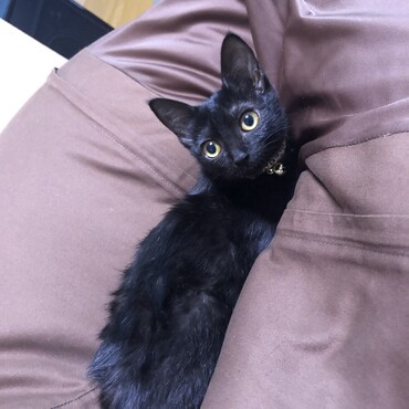 の写真