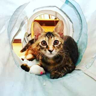 超元気な明るい子