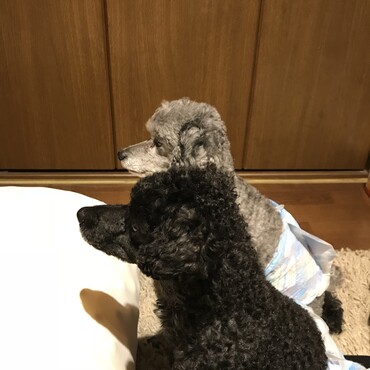 の写真