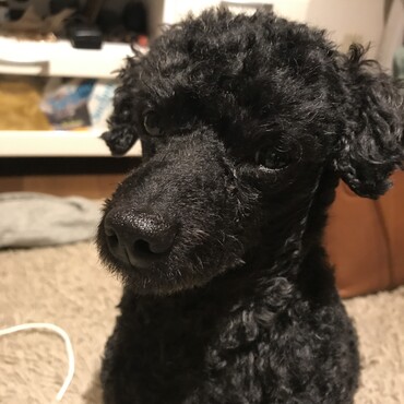 の写真