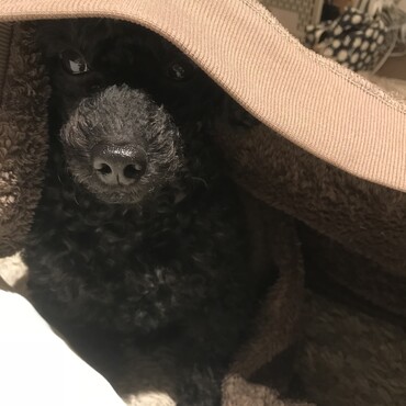 の写真
