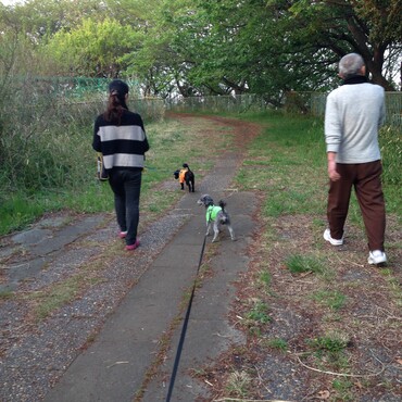 みんなでお散歩