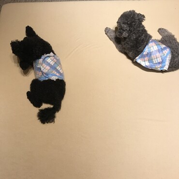 の写真