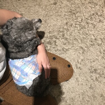 とにかく人のそばにいることが安心